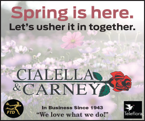 Cialella & Carney Floral Designs & Giftware